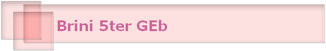 Brini 5ter GEb
