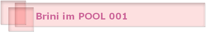 Brini im POOL 001