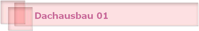 Dachausbau 01