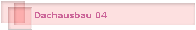 Dachausbau 04