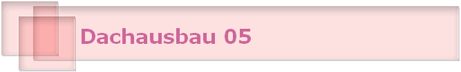 Dachausbau 05